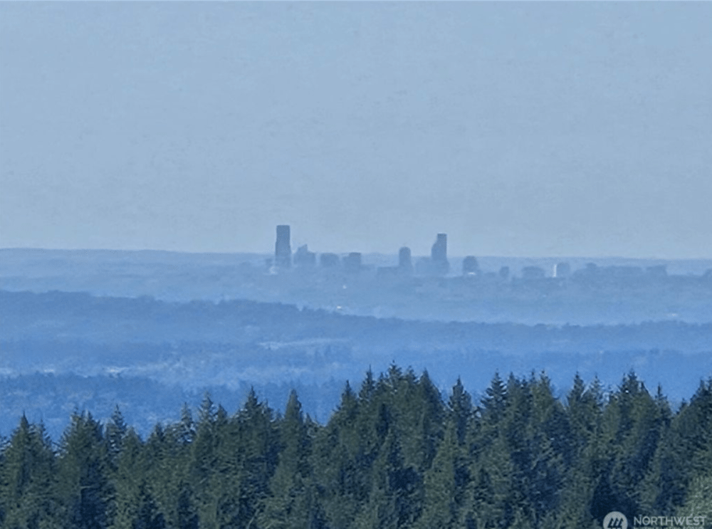 October 2025 PNW - Page 7 - West of the Rockies - The Weather Forums