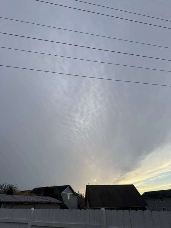 IMG_4216.thumb.jpeg.8fc931f3c2211c3092eab393aa04a427.jpeg