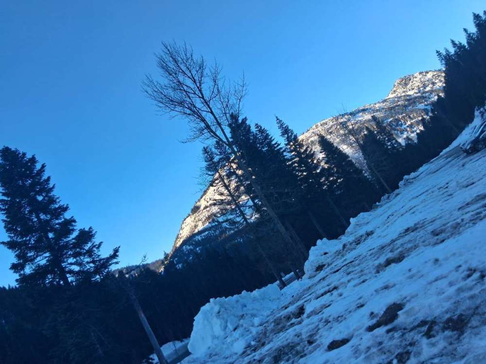 January 2026 PNW thread - Page 133 - West of the Rockies - The Weather ...