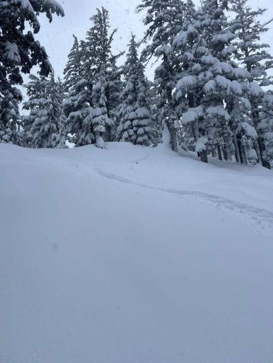 January 2026 PNW thread - Page 52 - West of the Rockies - The Weather ...