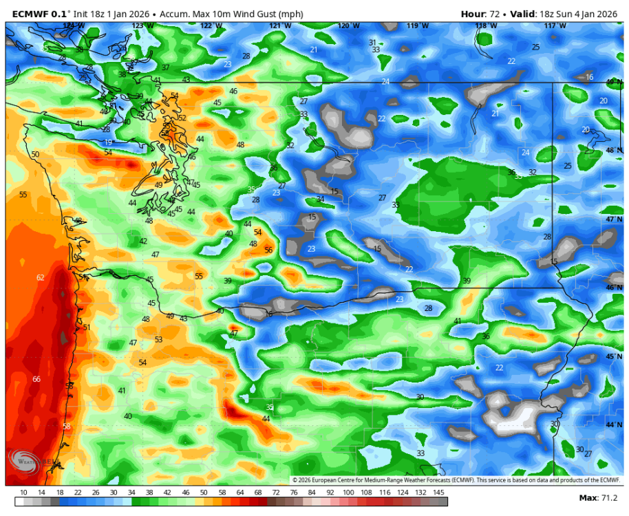 ecmwf-deterministic-washington-gust_swath_mph-7549600.png