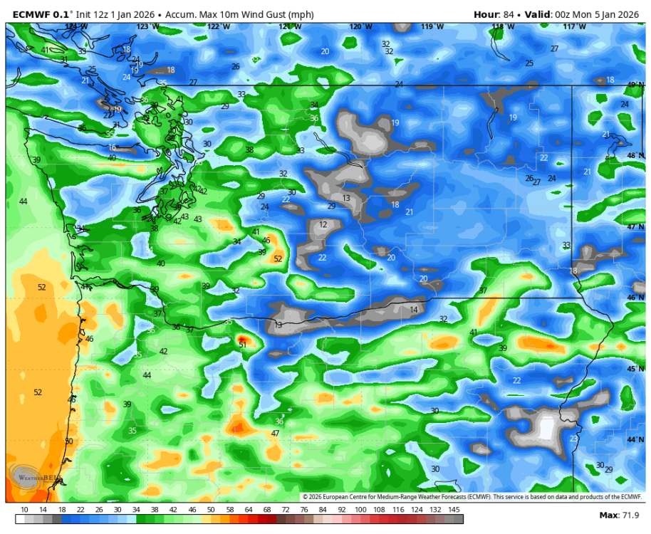 ecmwf-deterministic-washington-gust_swath_mph-7571200 (1).png