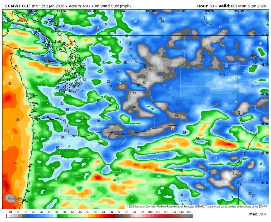 ecmwf-deterministic-washington-gust_swath_mph-7571200 (3).png