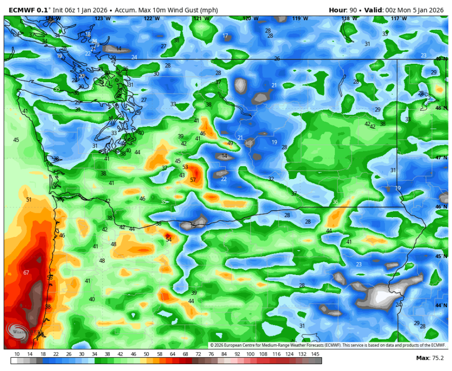 ecmwf-deterministic-washington-gust_swath_mph-7571200.png