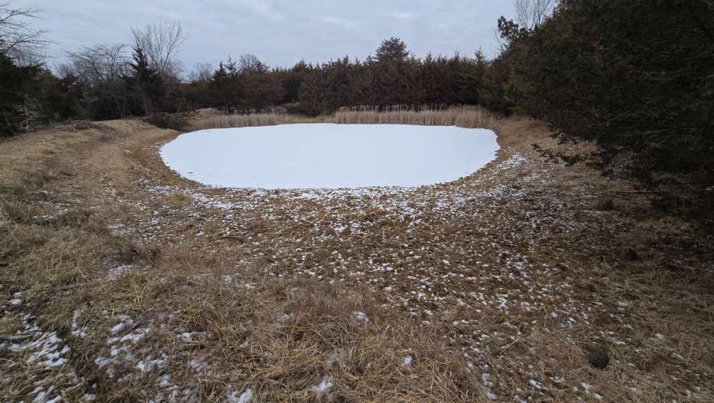 20260203_112808.jpg