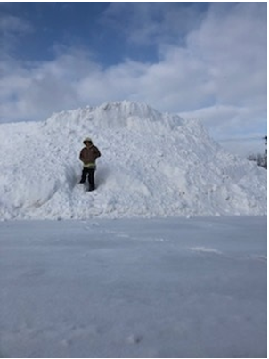 Snowpile2026.png.6d396952593e8bc55cabbc20b5e0f3c3.png