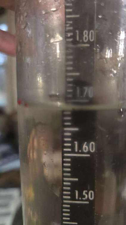 20260306_065042.jpg