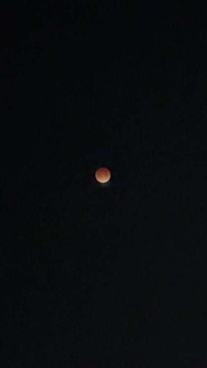 IMG_3807.jpeg