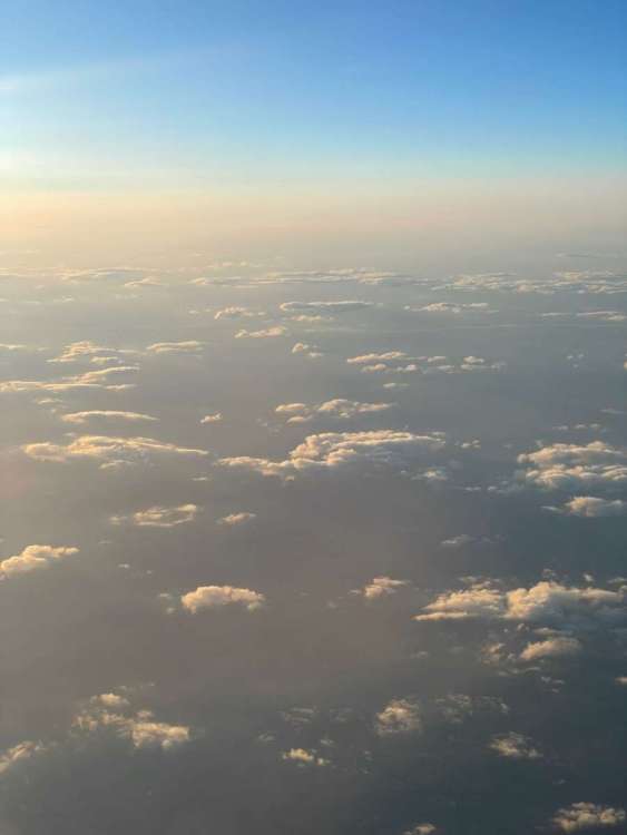 IMG_8312.jpeg