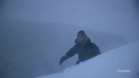 image.gif.8446bd9ea1e75a6668d10339e8b350d6.gif