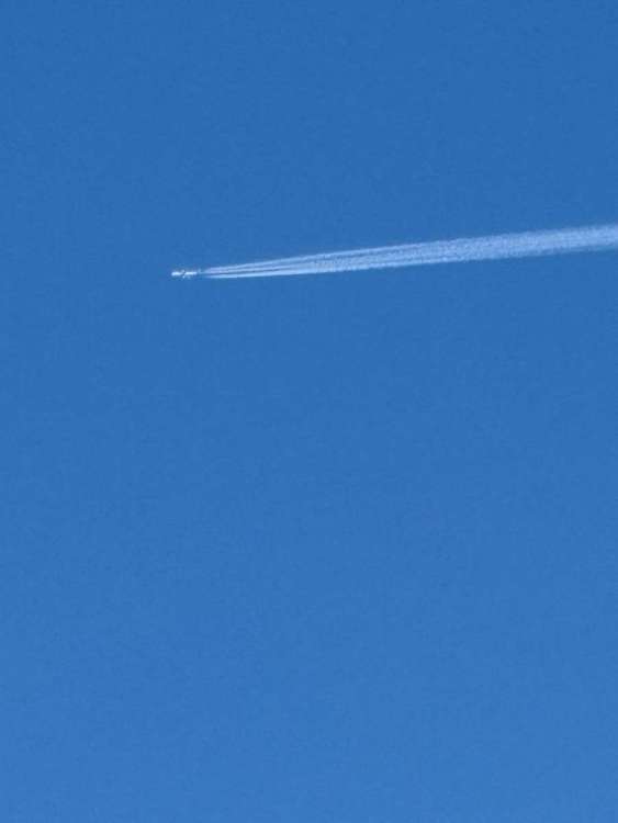 IMG_1651.jpeg