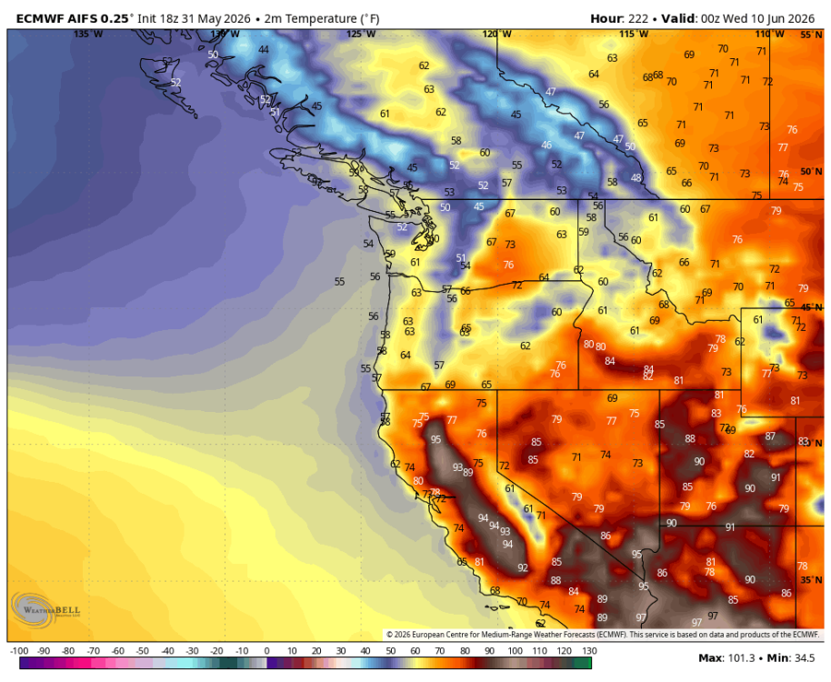ecmwf-aifs-all-nw-t2m_f-1049600.png