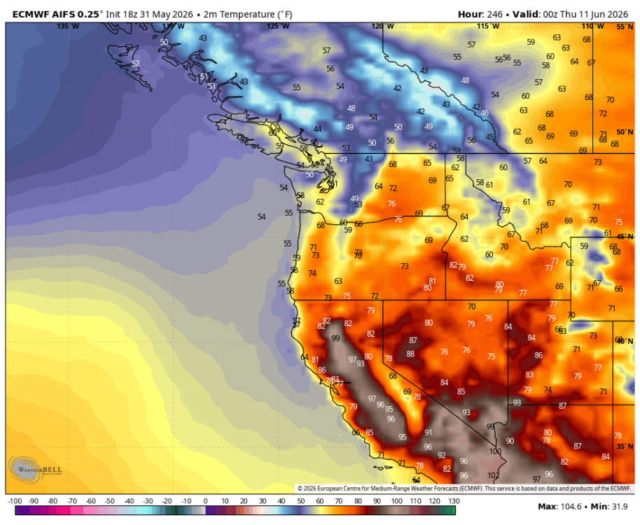 ecmwf-aifs-all-nw-t2m_f-1136000.png