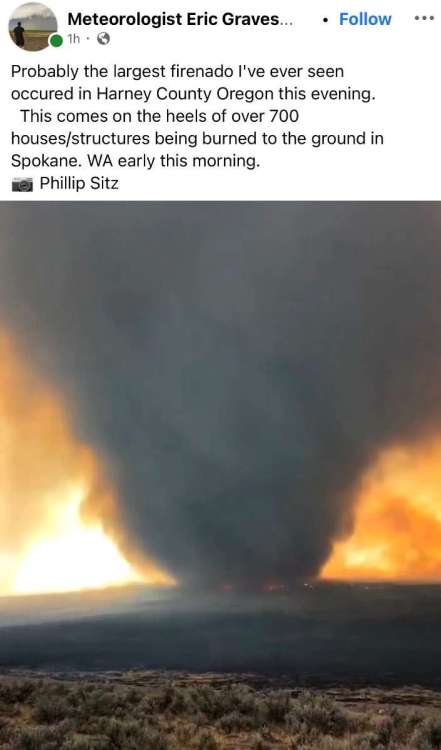 IMG_1710.thumb.jpeg.451b941cf5f012436b7ff919d5273560.jpeg