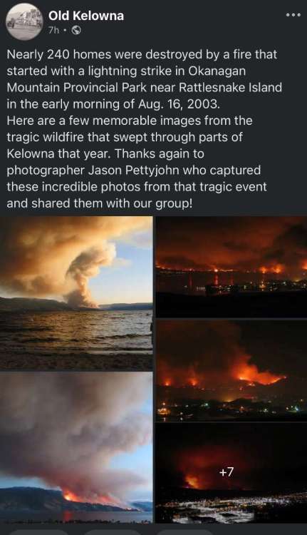 IMG_8047.jpeg