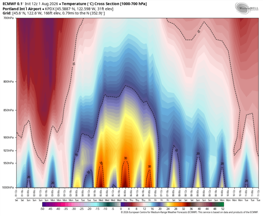 Screenshot 2026-08-01 at 14-20-12 ECMWF WeatherBell Maps.png