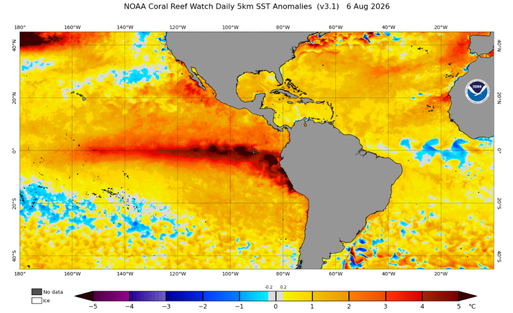 ct5km_ssta_v3.1_west_current (2).png