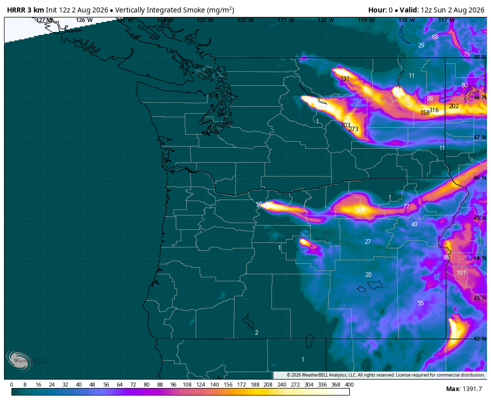 hrrr-or_wa-column_smoke-1785672000-1785672000-1785823200-40.gif