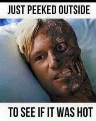 image.jpeg